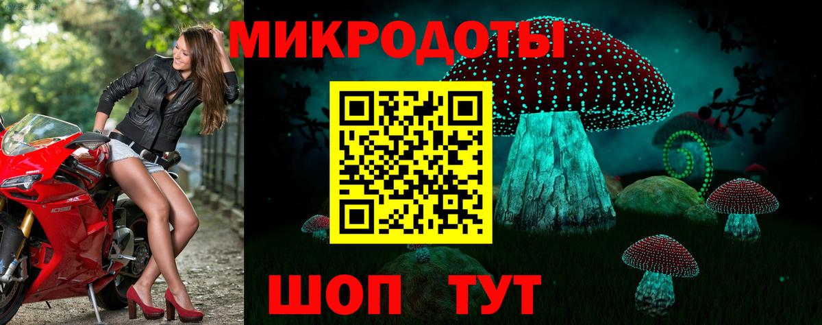 купить закладку  Вход с VPN  Галлюциногенные грибы ЛСД  Новосибирск  Галлюциногенные грибы Cubensis 