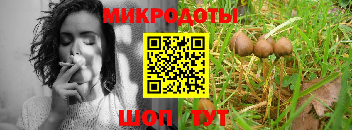 Галлюциногенные грибы Magic Shrooms Новосибирск
